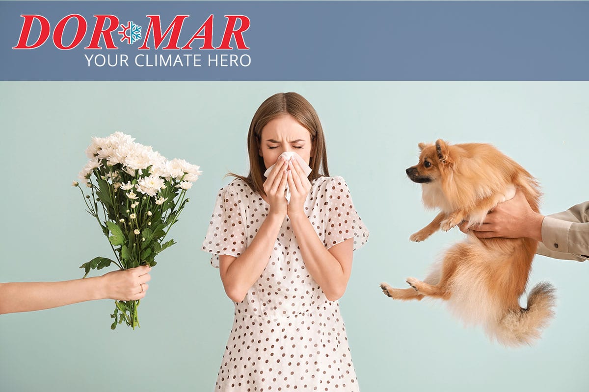 Reduce the effects of seasonal allergies by improving your indoor air quality.