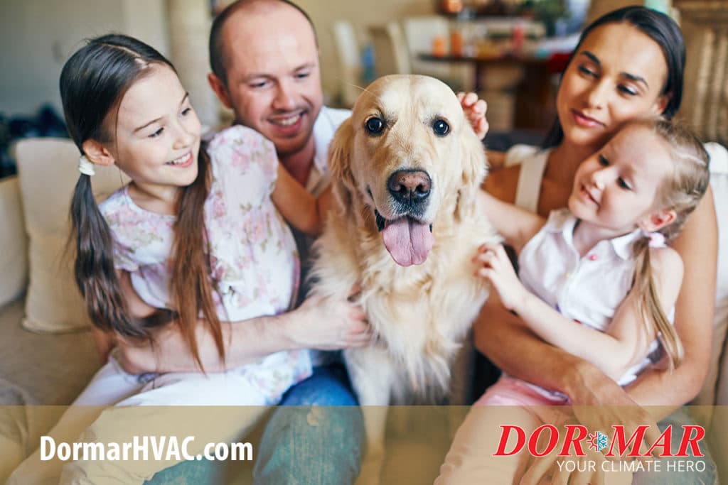 HVAC-tips-for-homeowners-with-pets